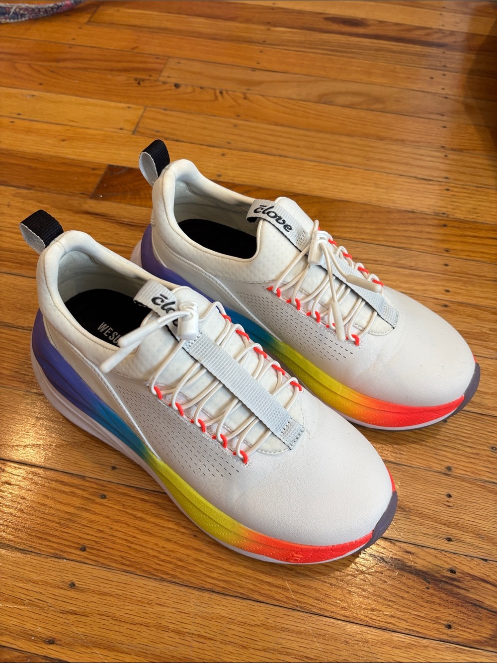 Rainbow clove sneakers